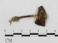 登錄號:F0014584藏品圖，第1張