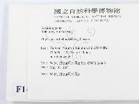 登錄號:F0014585藏品圖，第2張