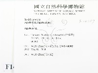 傘菌屬藏品圖，第2張