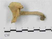 登錄號:F0014588藏品圖，第3張