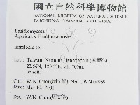 粉褶菌屬藏品圖，第2張