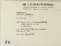 登錄號:F0014591藏品圖，第2張