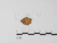 登錄號:F0014591藏品圖，第1張