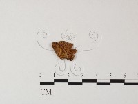 登錄號:F0014591藏品圖，第3張