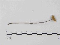 登錄號:F0014597藏品圖，第1張