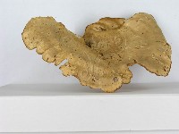 登錄號:F0014601藏品圖，第5張