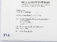 登錄號:F0014602藏品圖，第2張