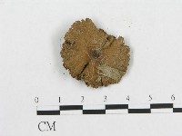 登錄號:F0014602藏品圖，第3張