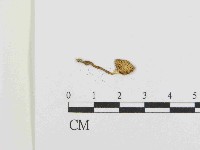 登錄號:F0014604藏品圖，第3張