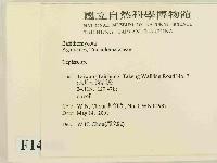 登錄號:F0014606藏品圖，第2張