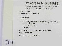 濕傘屬藏品圖，第2張