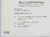 登錄號:F0014612藏品圖，第2張