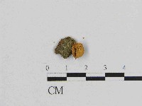 登錄號:F0014612藏品圖，第1張