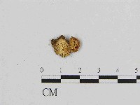 登錄號:F0014612藏品圖，第3張