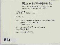 小菇屬藏品圖，第2張