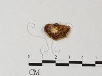 登錄號:F0014616藏品圖，第3張