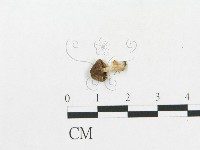 登錄號:F0014618藏品圖，第3張