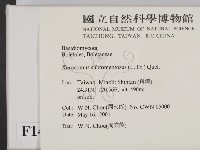 登錄號:F0014619藏品圖，第2張