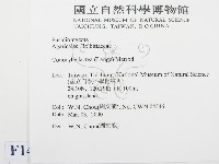 登錄號:F0014620藏品圖，第2張