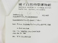 重傘靈芝藏品圖，第3張