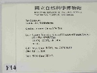 登錄號:F0014623藏品圖，第2張