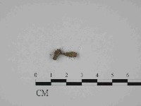 登錄號:F0014623藏品圖，第3張
