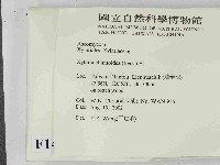 登錄號:F0014626藏品圖，第2張