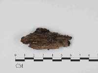 登錄號:F0014628藏品圖，第1張