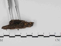 登錄號:F0014628藏品圖，第3張