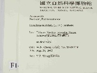 登錄號:F0014629藏品圖，第2張