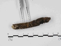 登錄號:F0014629藏品圖，第3張