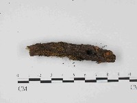 登錄號:F0014629藏品圖，第4張