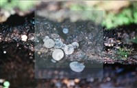 登錄號:F0014630藏品圖，第4張