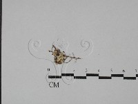 登錄號:F0014631藏品圖，第1張