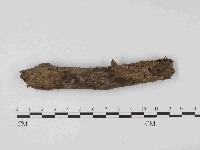 登錄號:F0014632藏品圖，第1張