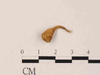 登錄號:F0014633藏品圖，第1張