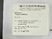 炭角菌屬藏品圖，第2張