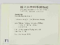登錄號:F0014637藏品圖，第2張