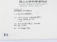 登錄號:F0014639藏品圖，第2張