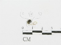登錄號:F0014639藏品圖，第3張