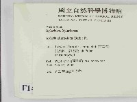 登錄號:F0014640藏品圖，第2張