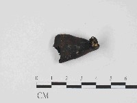 登錄號:F0014640藏品圖，第1張