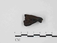 登錄號:F0014640藏品圖，第3張