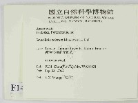登錄號:F0014641藏品圖，第2張