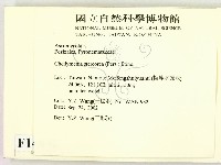 登錄號:F0014642藏品圖，第2張
