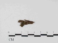 登錄號:F0014643藏品圖，第1張