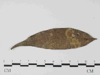 登錄號:F0014644藏品圖，第1張