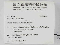 登錄號:F0014646藏品圖，第2張