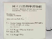 登錄號:F0014647藏品圖，第2張