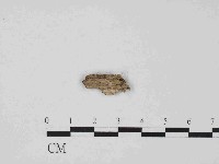 登錄號:F0014647藏品圖，第3張